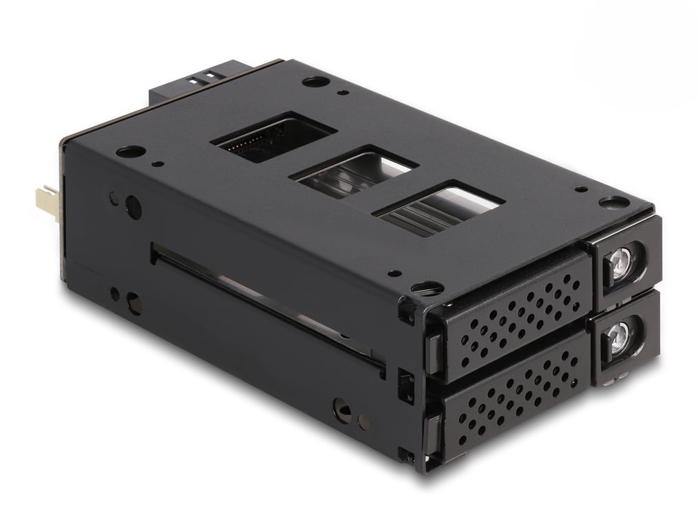 DeLOCK Rack mince et amovible de baie pour 2 x SSD 2.5? U.2 NVMe SSD Neuf