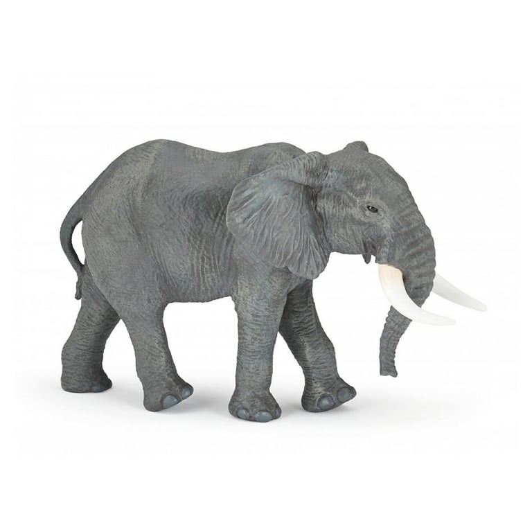 Grand Éléphant d'Afrique Le Plus Grand Animal Terrestre Neuf
