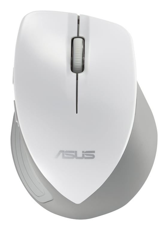 ASUS WT465 souris Bureau Droitier RF sans fil Optique 1600 DPI - Neuf