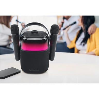 Enceinte Bluetooth karaoké MUSE M-530 KA 30 W Noir avec 2 micros sans fil, USB MP3, AUX 3,5 mm, atténuation des paroles, LED IPX5