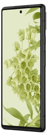 Pixel 6 128 Go, Vert, débloqué