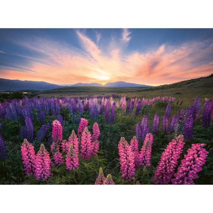 Puzzle 500 pieces Les lupins (Nature edition), Des 12 ans ,  Puzzle de qualité supérieure, 12000688, Ravensburger - Neuf