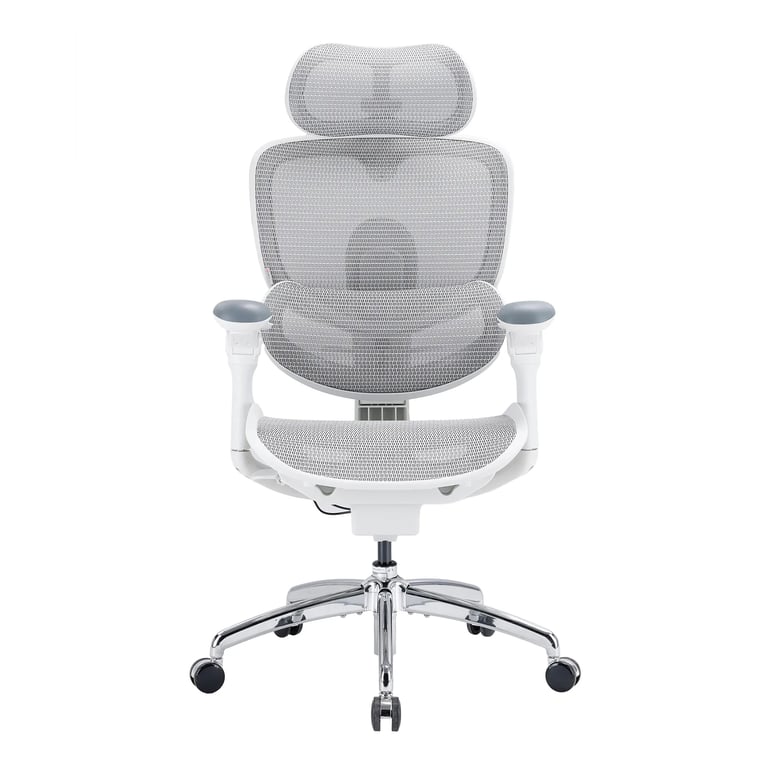 SIHOO Doro C300 Pro V2 Fauteuil de bureau ergonomique sans repose pieds soutien adaptatif pour tout le corps Neuf