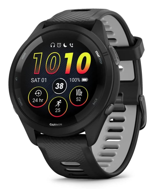 Montre Garmin Forerunner WhitestoneTidal - vue 7