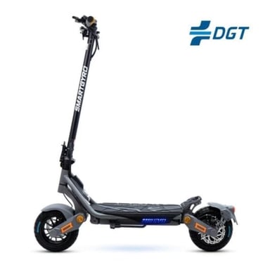 Trottinette électrique - smartGyro Rockway EVO, approuvé DGT, puissance maximale 800 W, 13000 mAh, 25 km/h