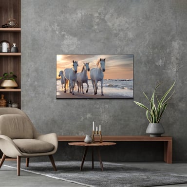 Thomson 43UA5S13 TV 109,2 cm (43'') 4K Ultra HD Smart TV Wifi Noir