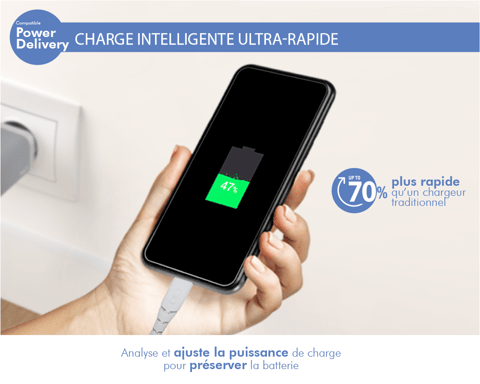Caricatore da parete USB C PD 65W Power Delivery Garanzia a vita Grigio Force Power