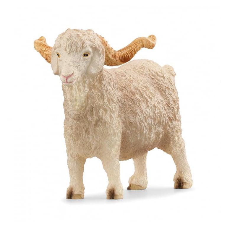 Bouc Angora : Un Animal Charmant et Tempétueux à Découvrir Neuf - vue 1