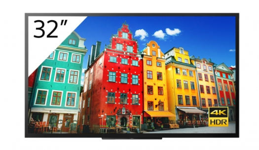 32 4k 247 Professional Bravia - vue 2