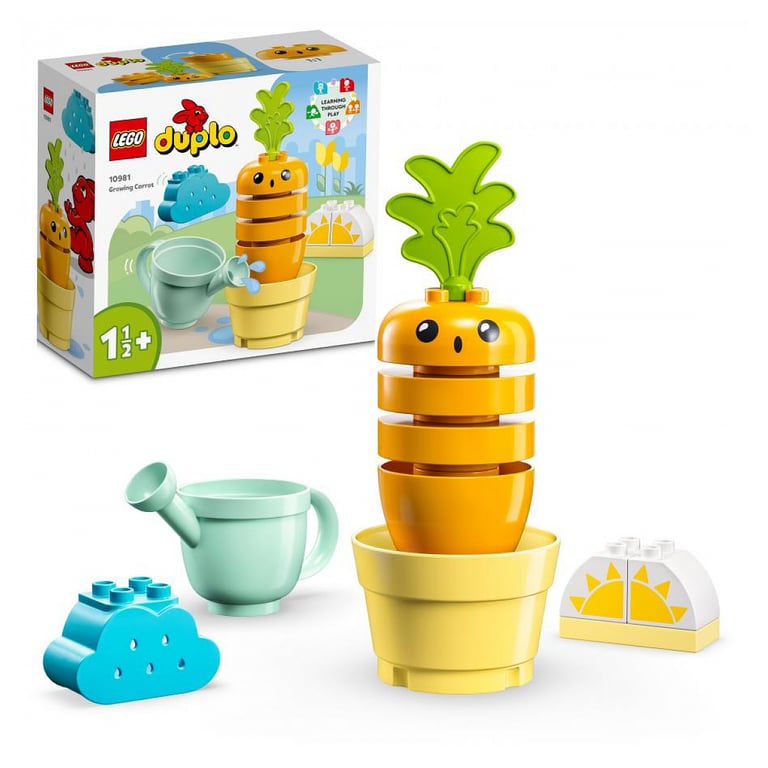LEGO DUPLO 10981 - vue 4