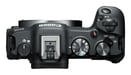 Canon EOS R8 + RF 24-50mm F4.5-6.3 IS STM Kit MILC 24,2 MP CMOS 6000 x 4000 Pixeles Negro