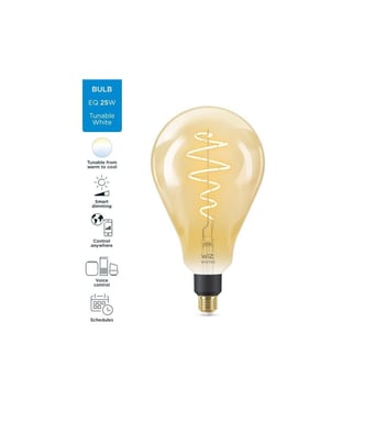 WiZ Connected lampadina Filament vintage Variable white E27 25W