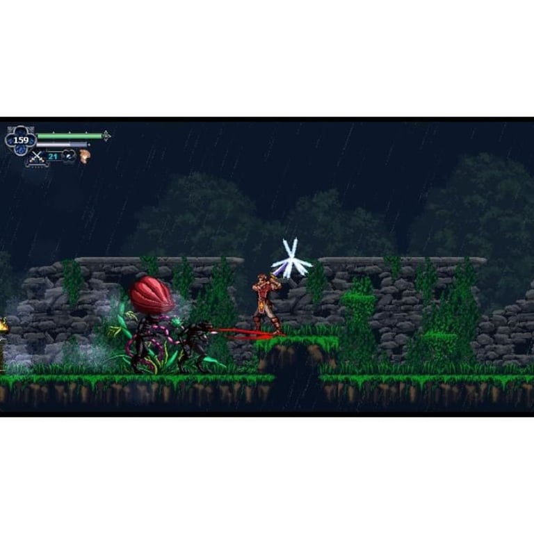 Chronicles of the Wolf Jeu Nintendo Switch - vue 3