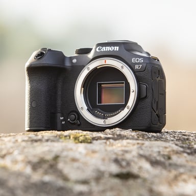 Canon EOS R7 Boîtier MILC 32,5 MP CMOS 6960 x 4640 pixels Noir