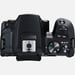 Canon EOS 250D Cuerpo de la cámara SLR 24,1 MP CMOS 6000 x 4000 Pixeles Negro