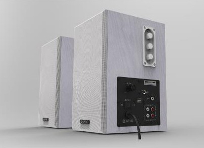 Casse EMPIRE WB-100MIC-W 100 Watt, Ingresso MIC e Porta USB per la ricarica - Colore Bianco