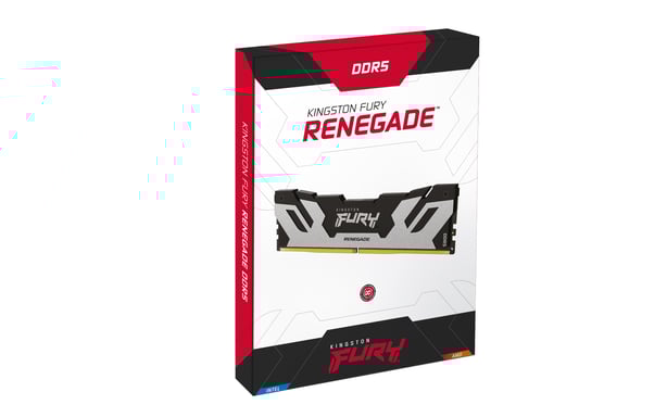 Kingston Technology FURY 48GB 8000MT/s DDR5 CL38 DIMM (Kit de 2) Renegade Silver