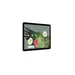 Google Pixel GA06159-EU tablet 256 GB 27,8 cm (10.9'') 8 GB Wi-Fi 6 (802.11ax) Gris