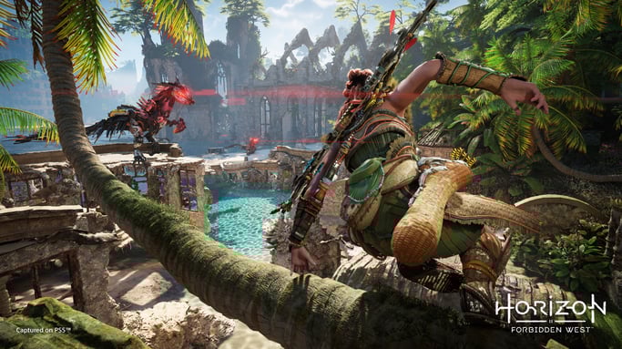 Jeu PS4 Horizon Forbidden West Edition standard