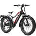Bici Elettrica per Adulti JOBOBIKE Robin 26'' Motore Bafang 250W 48V13AH