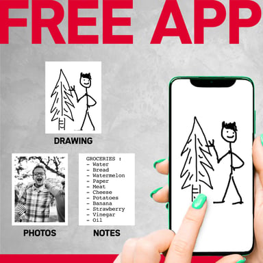 AGFA PHOTO Realipix Pocket P - Impresora fotográfica térmica portátil (impresión en blanco y negro sin tinta, Bluetooth, batería de litio) Blanco