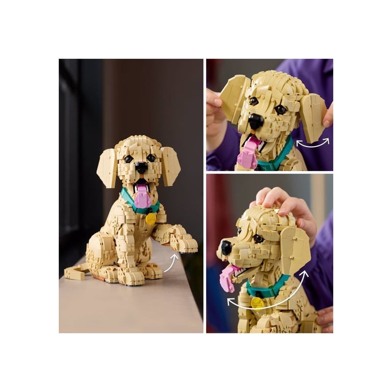 LEGO Icons Le Chiot Golden Retriever 11384 - vue 5