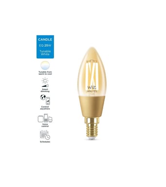 WiZ Flame lampadina collegata Bianco variabile E14 25W