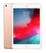 Apple iPad mini 64 Go 20,1 cm (7.9'') Wi-Fi 5 (802.11ac) iOS 12 Or