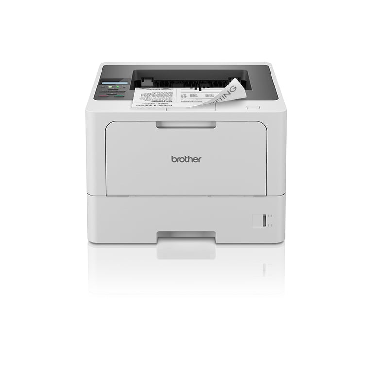 Brother HL L5210DN - vue 2
