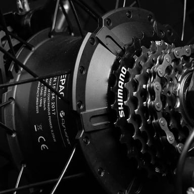 Bici elettrica CYRUSHER Nova 20'' Step-through con motore da 250 W e batteria da 36 V e 15 Ah