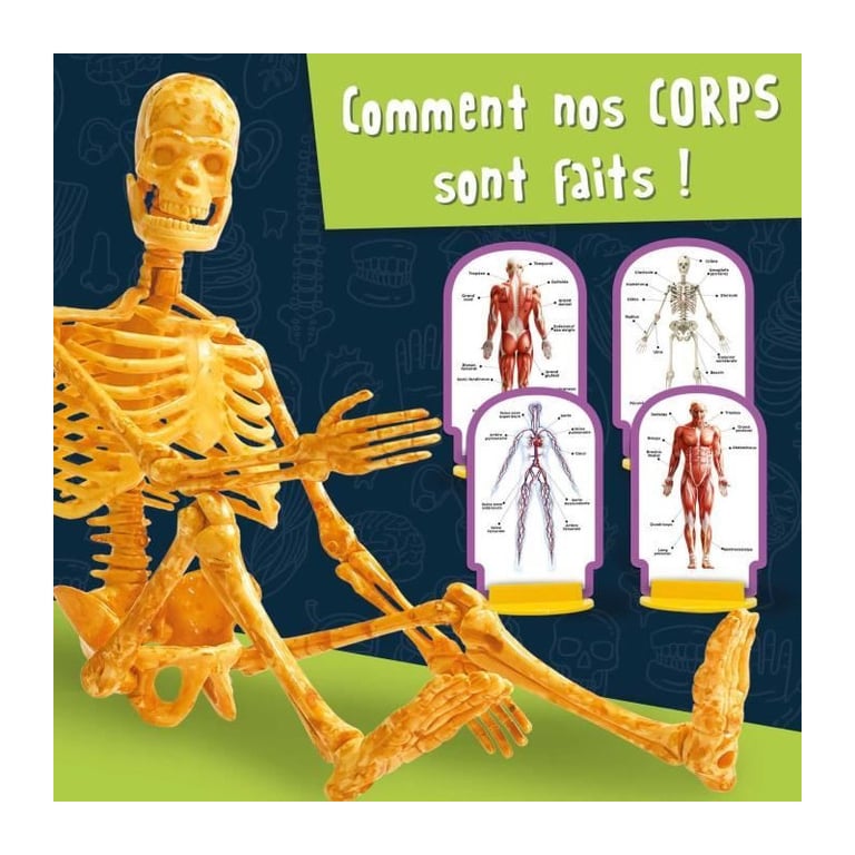 Découverte du corps humain Kit Scientifique I' A GENIUS POCKET Modèle 3D - vue 4