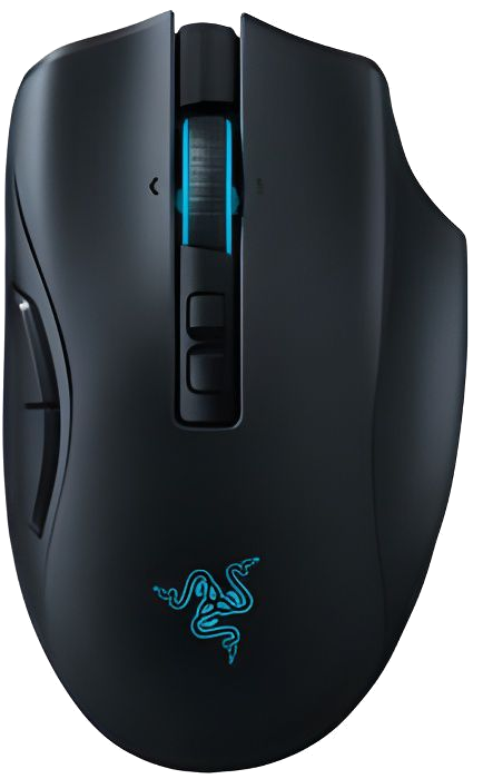 Razer Naga Pro Souris Sans fil