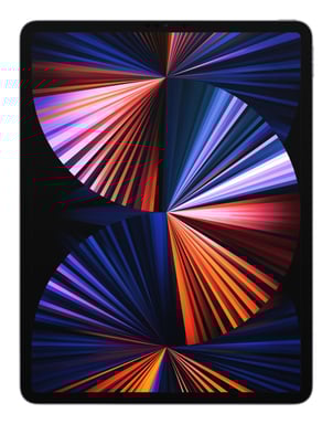 Apple iPad Pro Apple M 256 GB 32,8 cm (12.9'') 8 GB Wi-Fi 6 (802.11ax) iPadOS 14 Gris