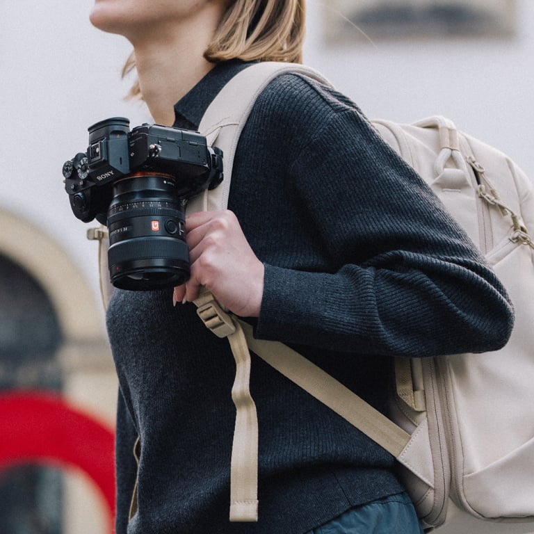 PGYTECH OneGo Lite sac à dos Sac à dos normal Noir Polyester - Neuf