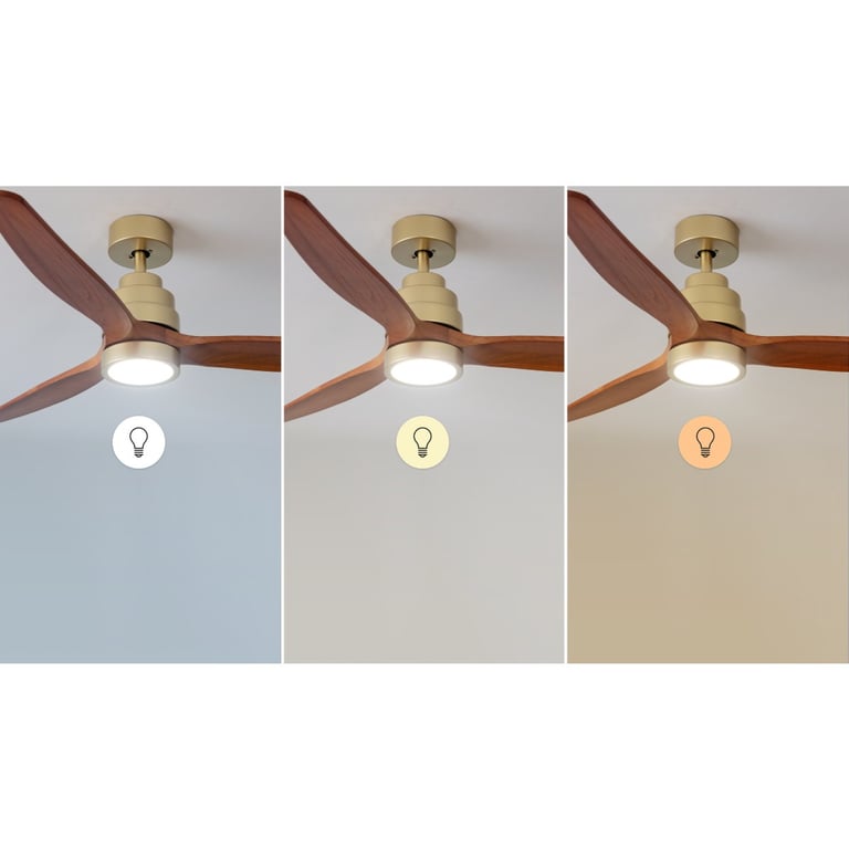 Ventilateur de plafond Cecotec 52 pouces GoldBlack - Neuf