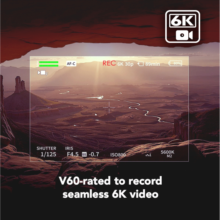 LEXAR Carte SDXC Pro Gold Series ARMOR UHS II V60 IP68 Stainless Steel R280W210MB/ Neuf - vue 5