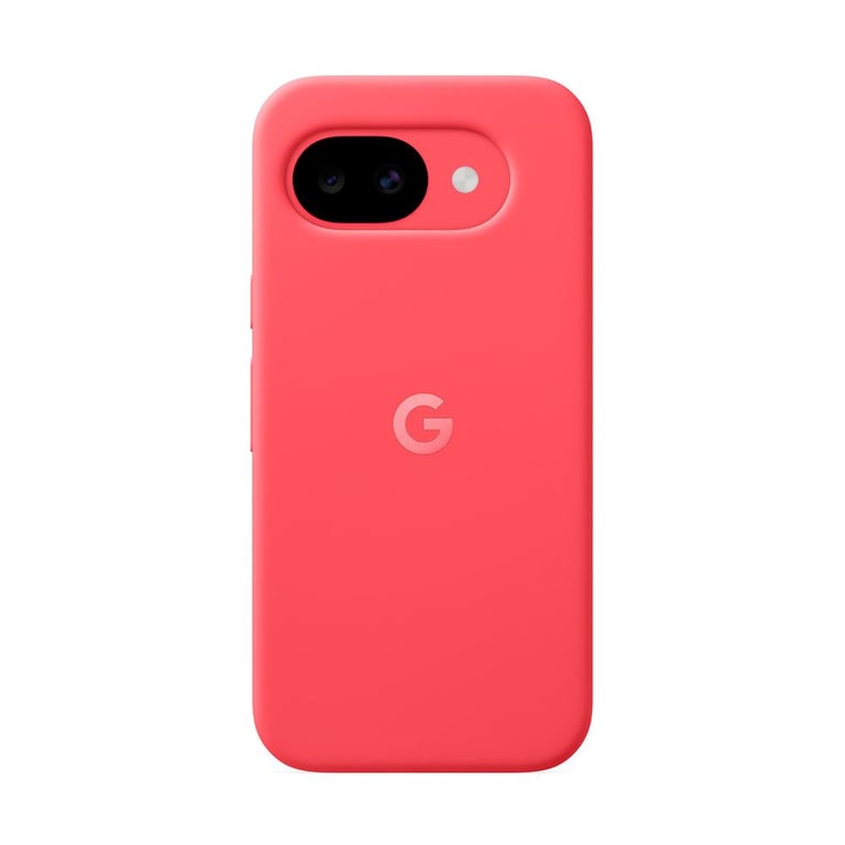 Coque en Silicone Santa Fe pour Google Pixel - vue 8