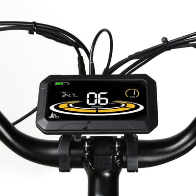 Samebike RS-A01 Plus Bici elettrica Motore da 750 W Batteria da 48 V 14 Ah 26*3.0 pollici Pneumatici Fat Step-thru City Commuter Ebike