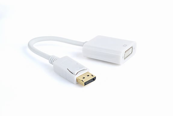 Gembird A-DPM-DVIF-002-W câble vidéo et adaptateur 0,1 m DisplayPort DVI Blanc