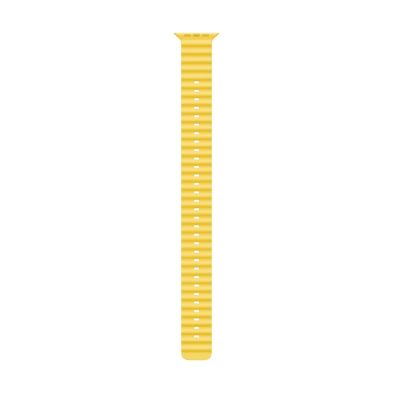 Apple Ocean Extension - vue 2