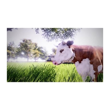 SOEDESCO Real Farm Sim - Premium Edition