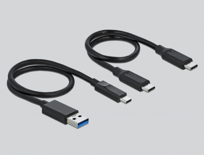 DeLOCK Lecteur de carte USB Type-C pour cartes mémoires CFast et SD + USB Hub avec port Type-A et USB Type-C - Neuf