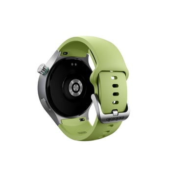 Moto Watch Argent - vue 3