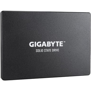 GIGABYTE - Disque SSD Interne - 256Go - 2,5'' (GP-GSTFS31256GTND)