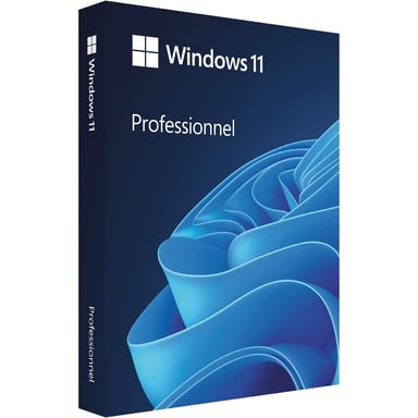 Windows 11 Pro FPP French Boite 1 licence USB 64-bit