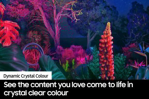 Samsung Series 8 UE65DU8000KXXU Televisor 165,1 cm (65'') 4K Ultra HD Smart TV Wifi Negro