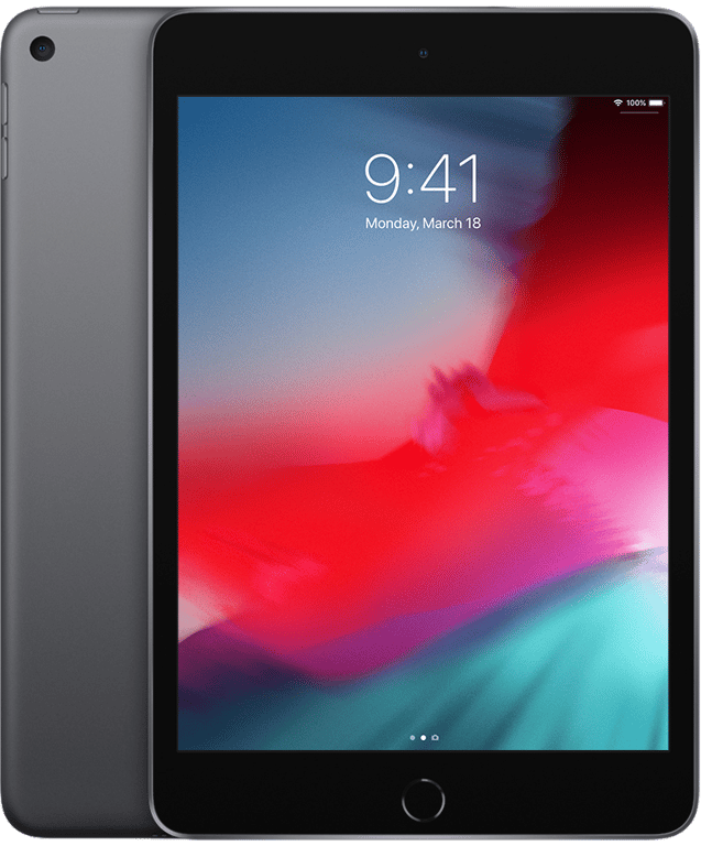 iPad mini 5 (2019) - 64 Go Wi-Fi Gris Sidéral