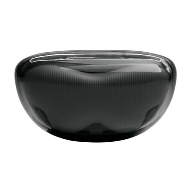 JBL Tune Flex 2 Ghost Edition Casque True Wireless Stereo (TWS) Ecouteurs Appels/Musique Bluetooth Noir