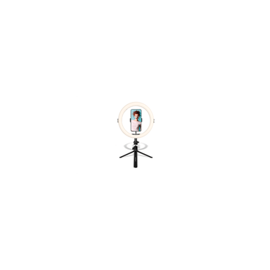 AgfaPhoto Ring Light Realiview ARL11 con treppiede - Luce LED per telefono, foto, selfie, video, Youtube, trucco, TikTok