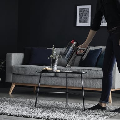 Rowenta RH98A7 Aspiradora escoba 2 en 1 Batería Secar Sin bolsa 0,9 L 320 W Rojo, Gris